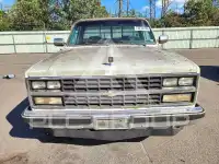 1985 Chevrolet C photo