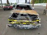 1986 Ford MUSTANG photo