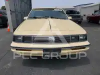 1987  фото