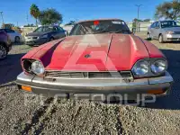 1989 Jaguar XJS фото