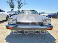 1989 Jaguar XJS photo