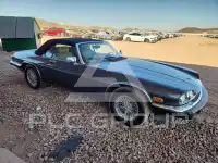1989 Jaguar XJS фото