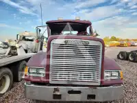 1990 Freightliner  photo
