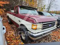 1991 Ford F-150 фото
