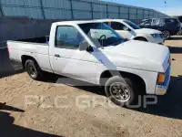 1992 Nissan Navara фото