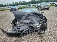 1993 Honda CIVIC фото