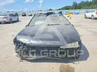 1994 Honda Accord photo