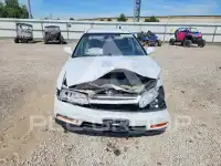 1995 Honda Accord фото
