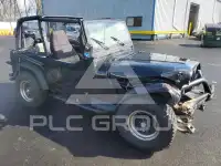 1995 Jeep WRANGLER фото
