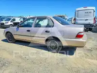 1997 Toyota COROLLA фото