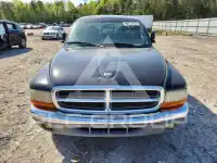 1998 Dodge DAKOTA photo