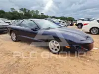 1998 Pontiac FIREBIRD photo