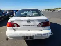 1998 Toyota COROLLA photo