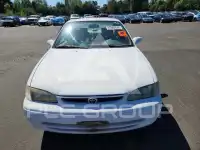 1998 Toyota COROLLA фото