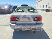 1998 Toyota COROLLA фото