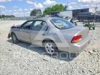 1999 Nissan MAXIMA photo