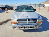 1999 Dodge DAKOTA фото