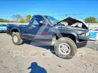 1999 Dodge DAKOTA photo