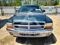 1999 Dodge DAKOTA photo
