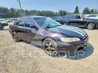 1999 Honda Accord фото