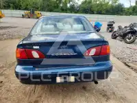 1999 Toyota COROLLA photo