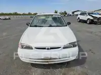 1999 Toyota COROLLA photo