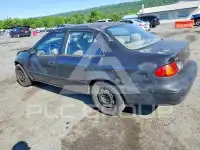 1999 Toyota COROLLA photo