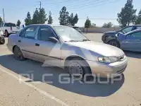 1999 Toyota COROLLA фото