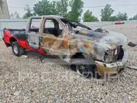 1999 Ford F-250 фото