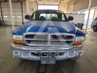 2000 Dodge DAKOTA фото