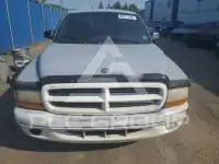 2000 Dodge DAKOTA фото