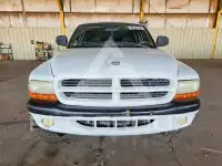 2000 Dodge DAKOTA photo