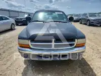 2000 Dodge DAKOTA photo