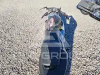 2000 Honda CBR photo