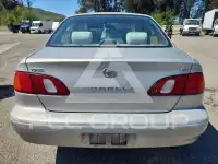2000 Toyota COROLLA фото