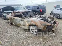 2000 Ford MUSTANG фото