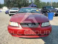 2000 Ford MUSTANG фото