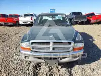 2001 Dodge DAKOTA photo