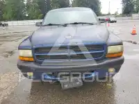2001 Dodge DAKOTA photo