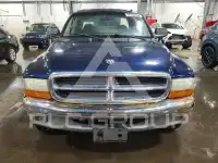 2001 Dodge DAKOTA photo