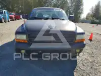2001 Dodge DAKOTA photo