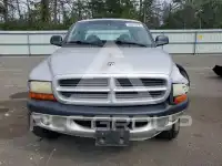 2001 Dodge DAKOTA photo