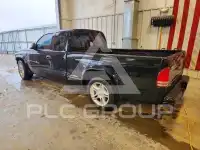 2001 Dodge DAKOTA photo