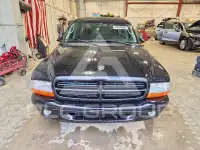 2001 Dodge DAKOTA photo
