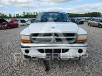 2001 Dodge DAKOTA фото