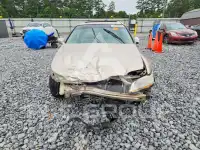 2001 Honda Accord фото