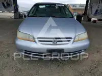 2001 Honda Accord фото