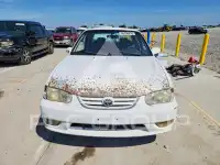 2001 Toyota COROLLA фото