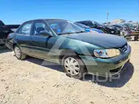2001 Toyota COROLLA photo