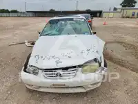 2001 Toyota COROLLA photo